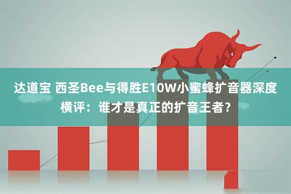 达道宝 西圣Bee与得胜E10W小蜜蜂扩音器深度横评：谁才是真正的扩音王者？